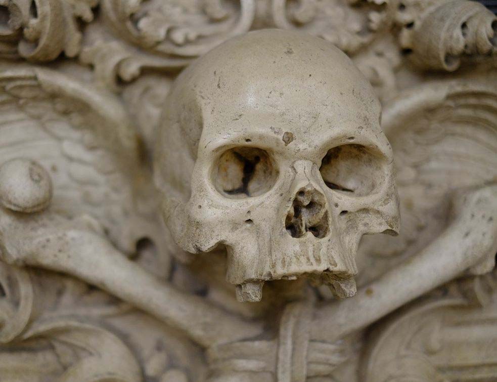 skelet, kosti, mrtvac, les, Photo by Bistrian Iosip on Unsplash